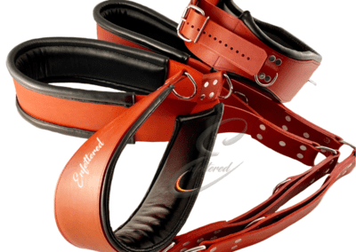 Enfettered Sit Sling Set