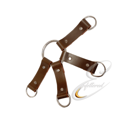 Enfettered Institutional Asylum Restraints - 4 way tie