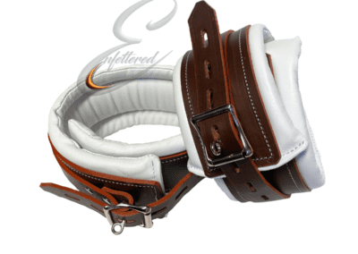 Institutional Bicep Restraints