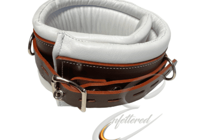 Institutional Collar
