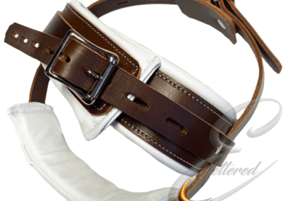 Institutional Head Restraint