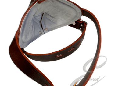Institutional Asylum muzzle 1