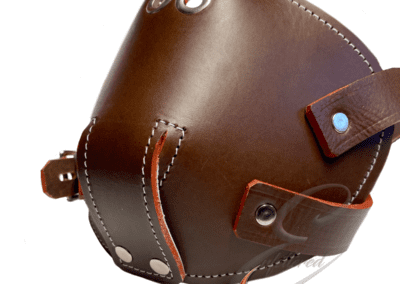 Institutional Asylum muzzle