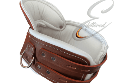 Enfettered Asylum posture collar 1