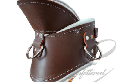 Enfettered Asylum posture collar