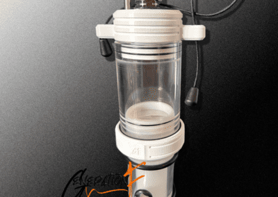 Generation F Two Phase Rhythm & Surge