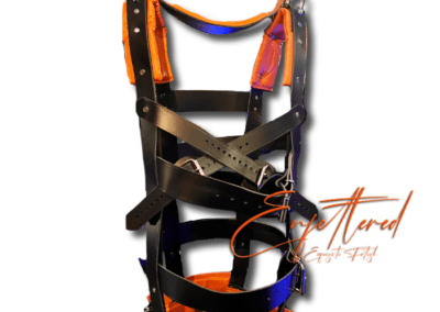 Enfettered Restraint & Suspension Rig 1